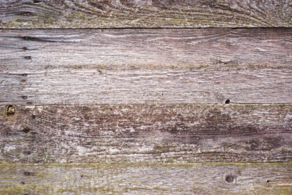 Old wood 1